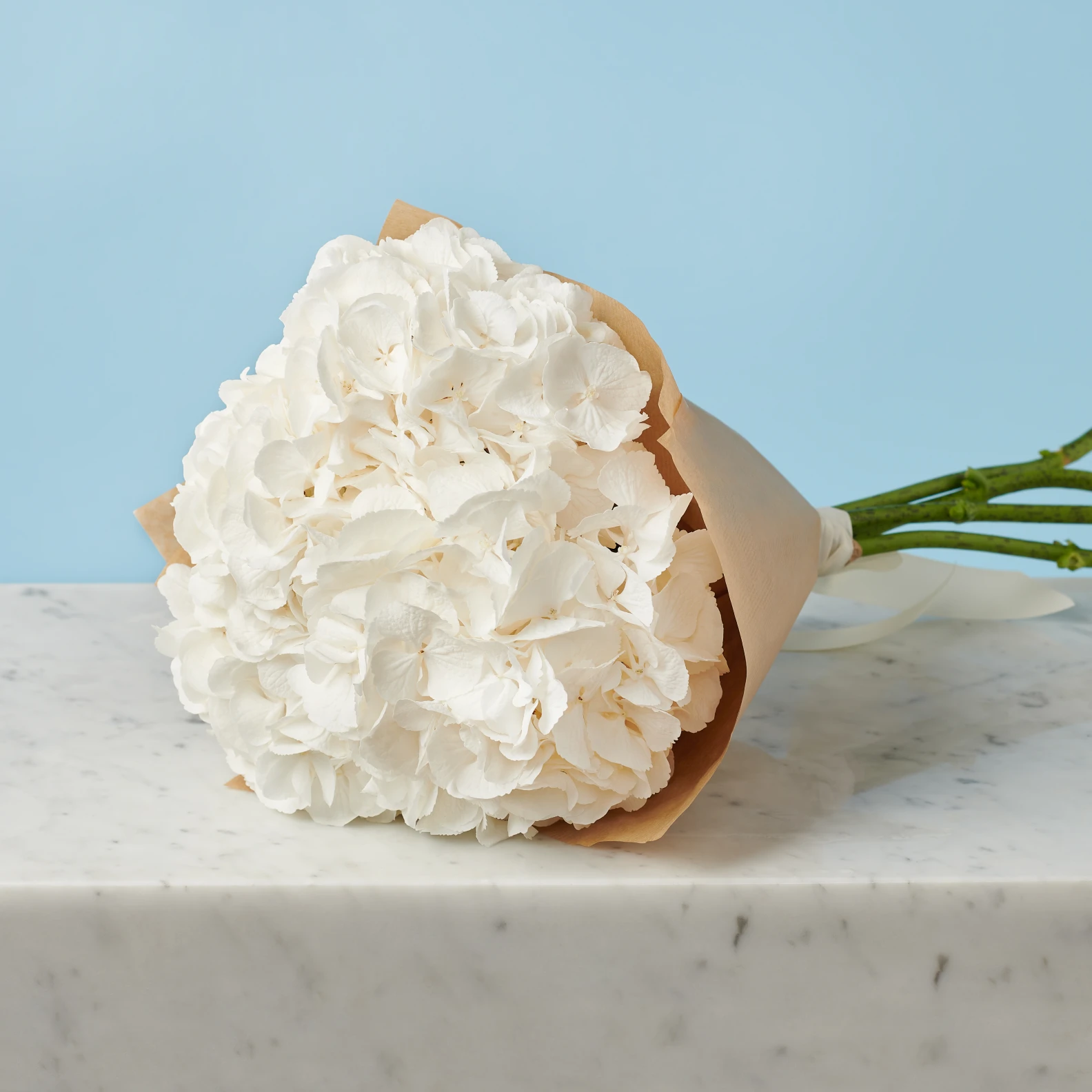 3 White Hydrangeas - image №3