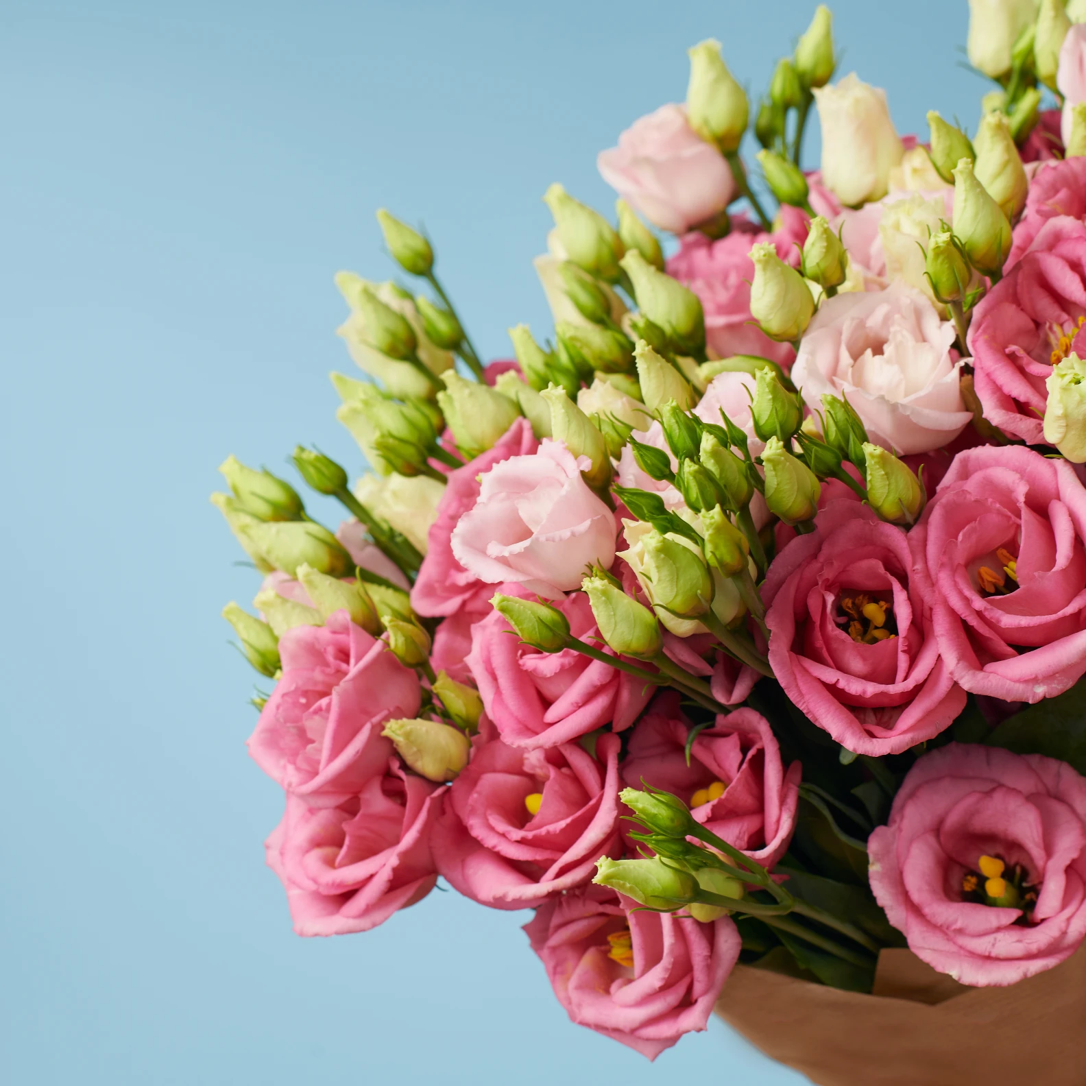 5 Pink Lisianthus - image №2