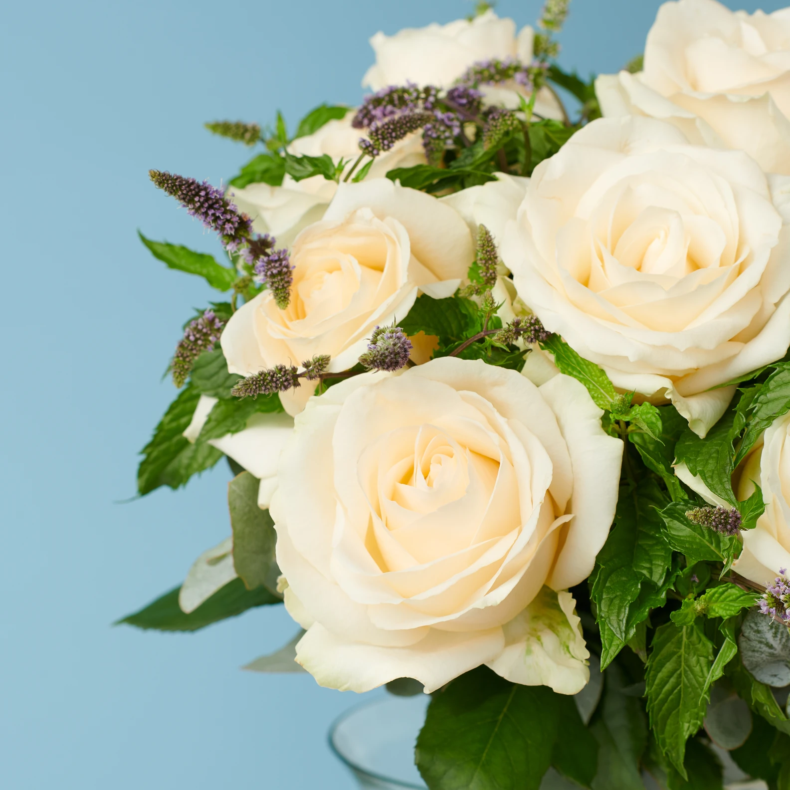 Amour - image №3