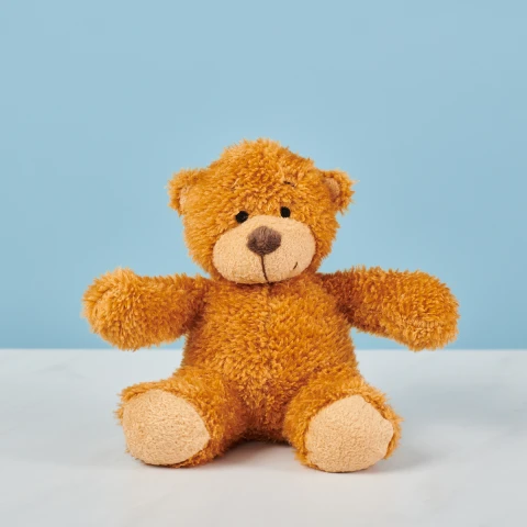 Teddy Bear 17cm