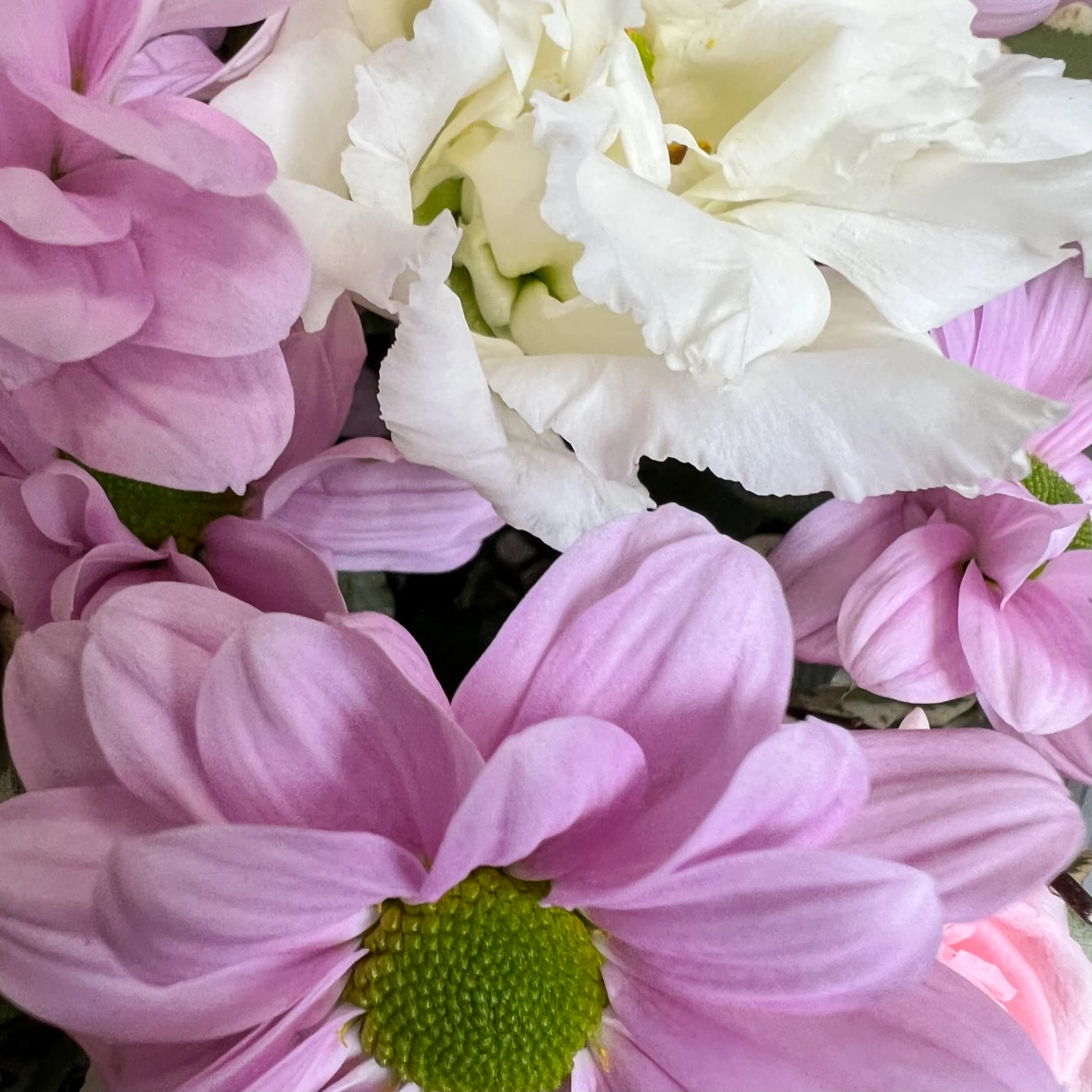 Marmalade Bouquet - image №3