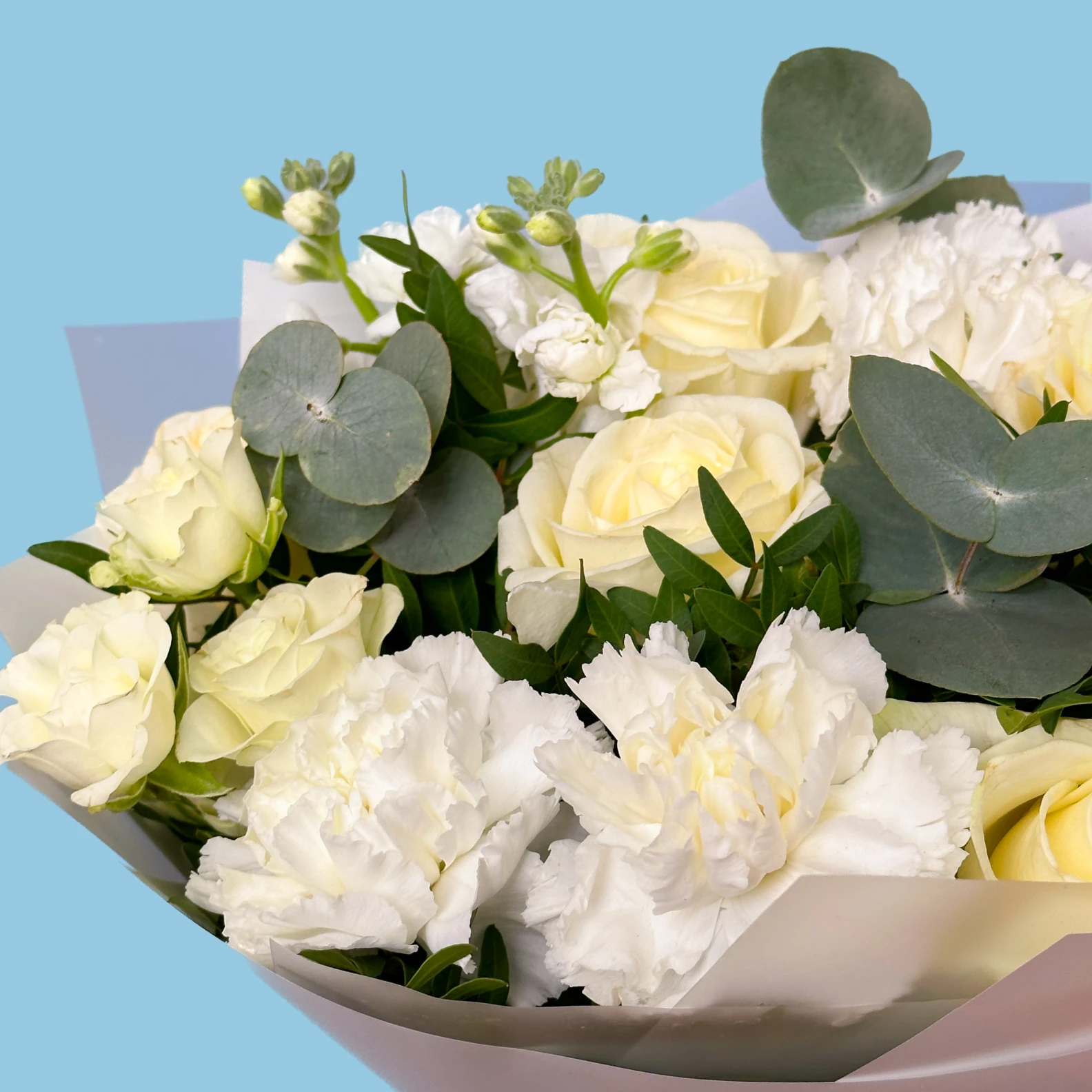 White Miracle - image №3