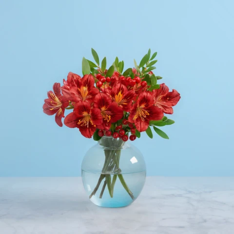 Red Composition