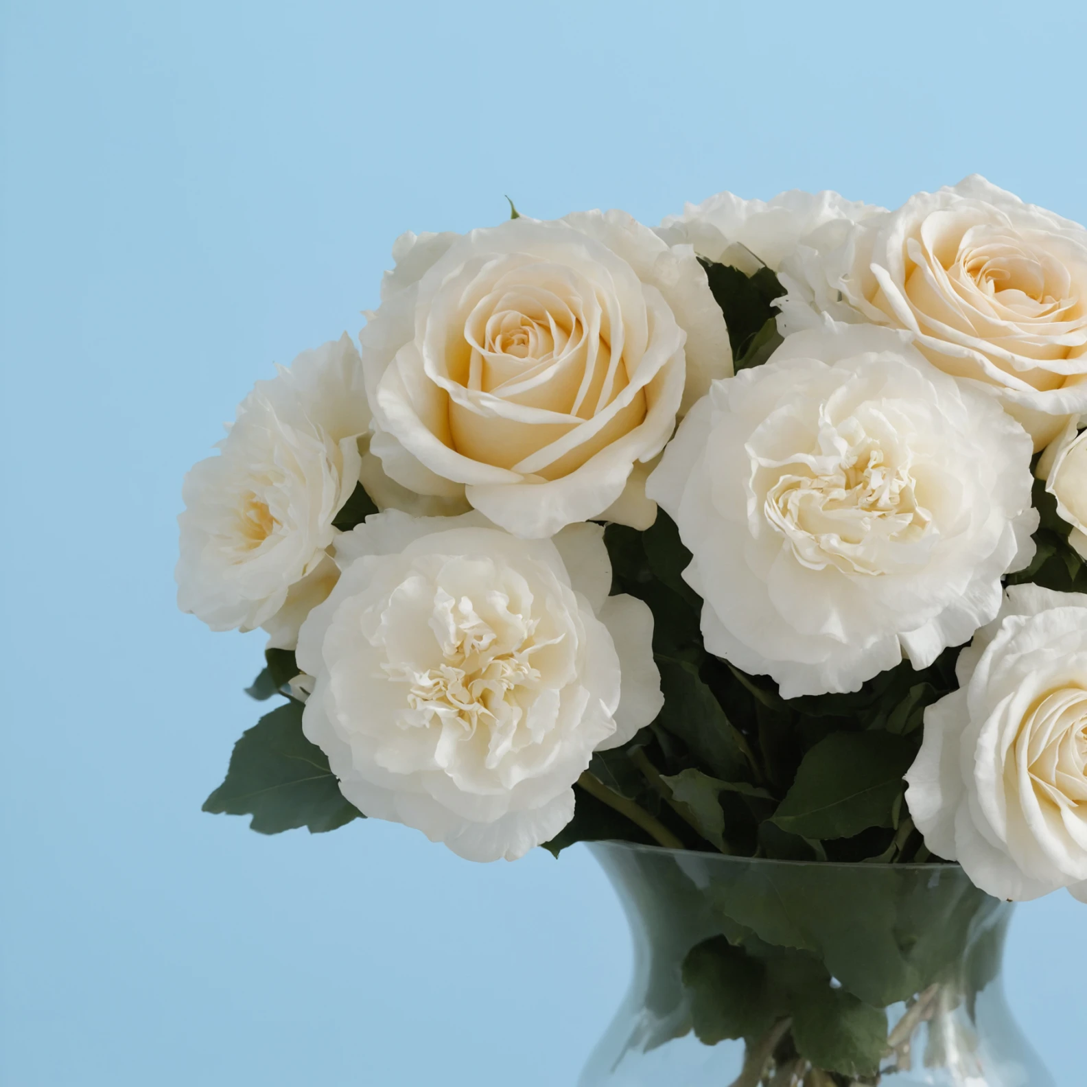Simple White - image №3