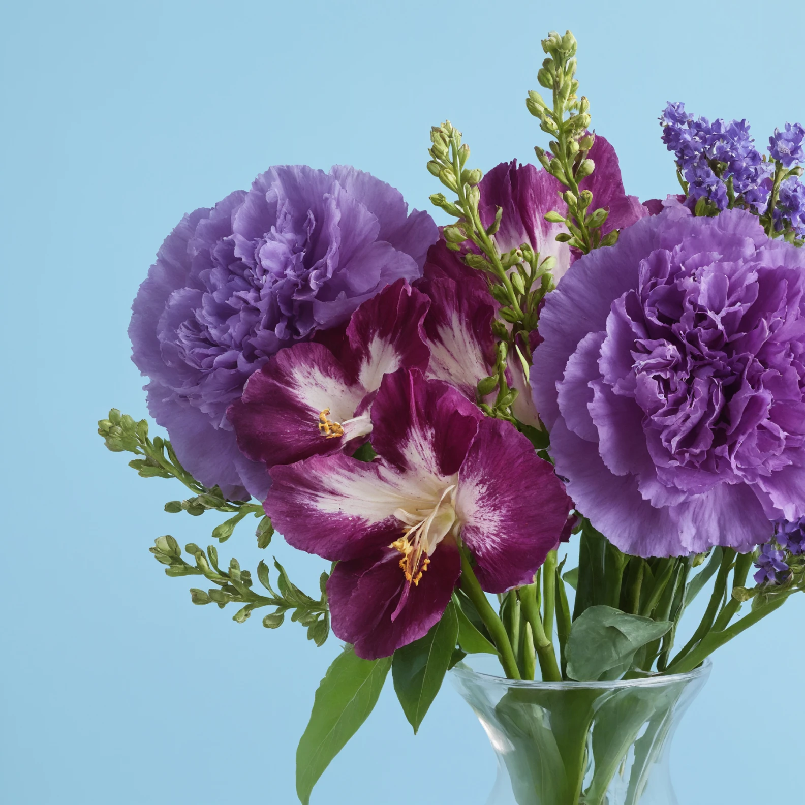 Purple Composition - image №3