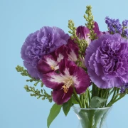 Purple Composition - image №3