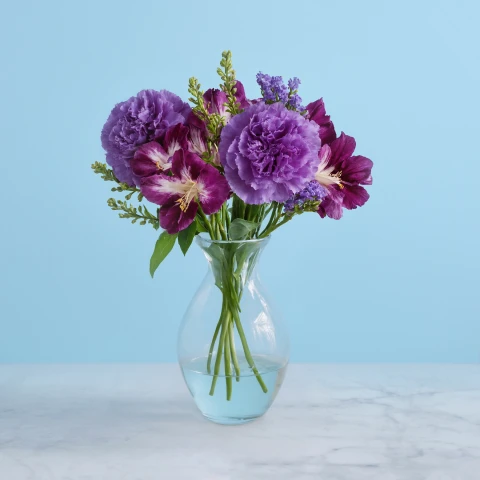 Purple Composition