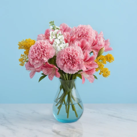 Petal Perfection