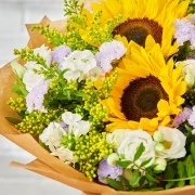 A Ray of Sunshine - image №2