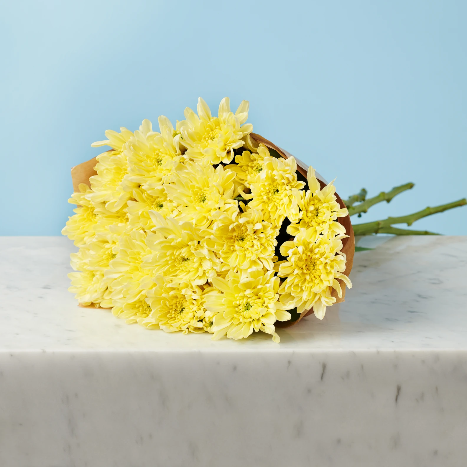 Snowy Bouquet - image №2