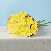 Snowy Bouquet - image №2