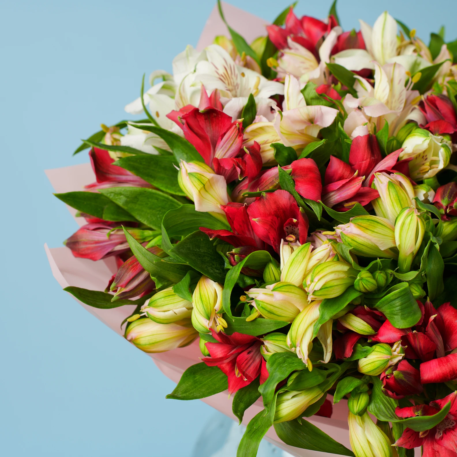 Delight - image №3