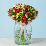 Delight - image №2