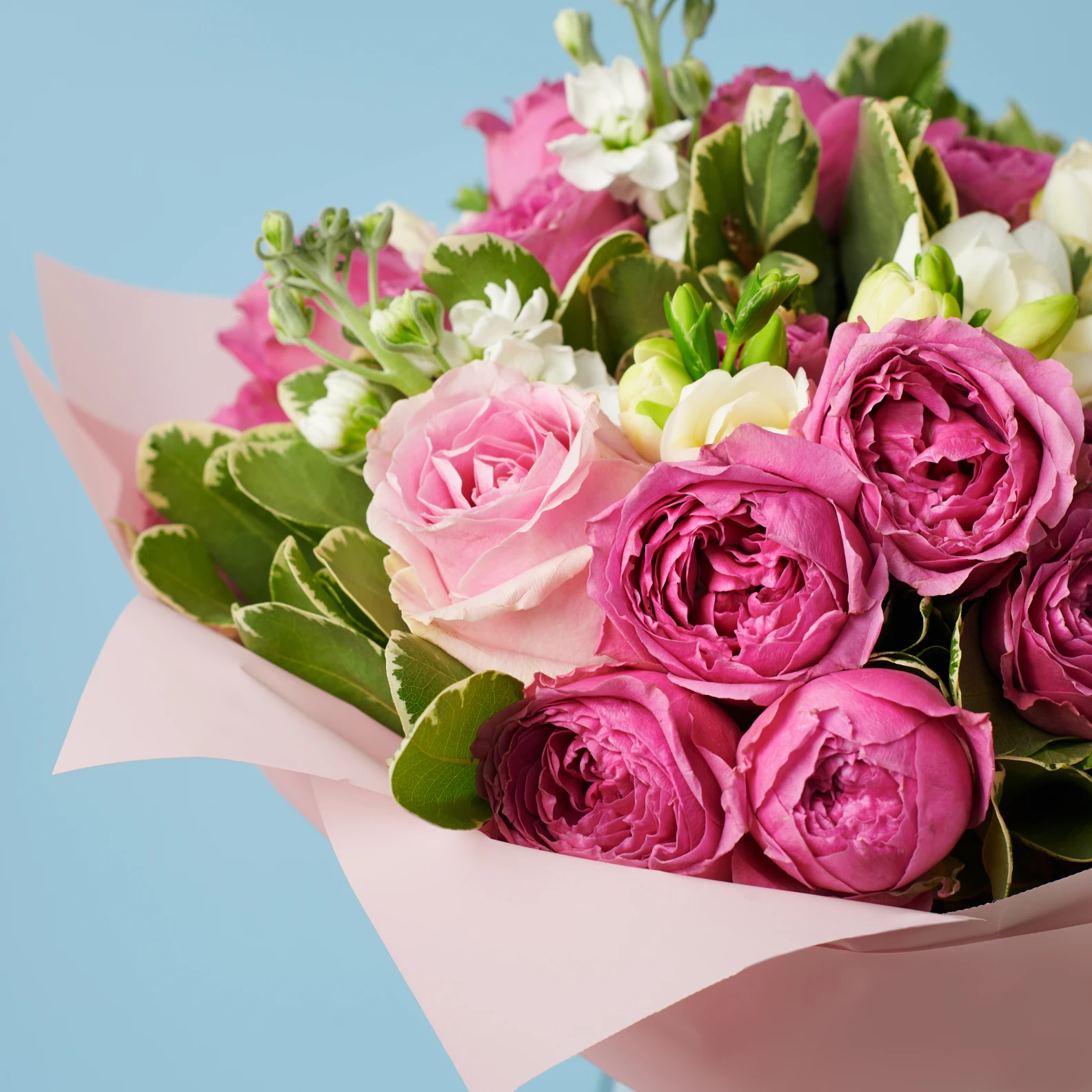 Sweetheart - image №3