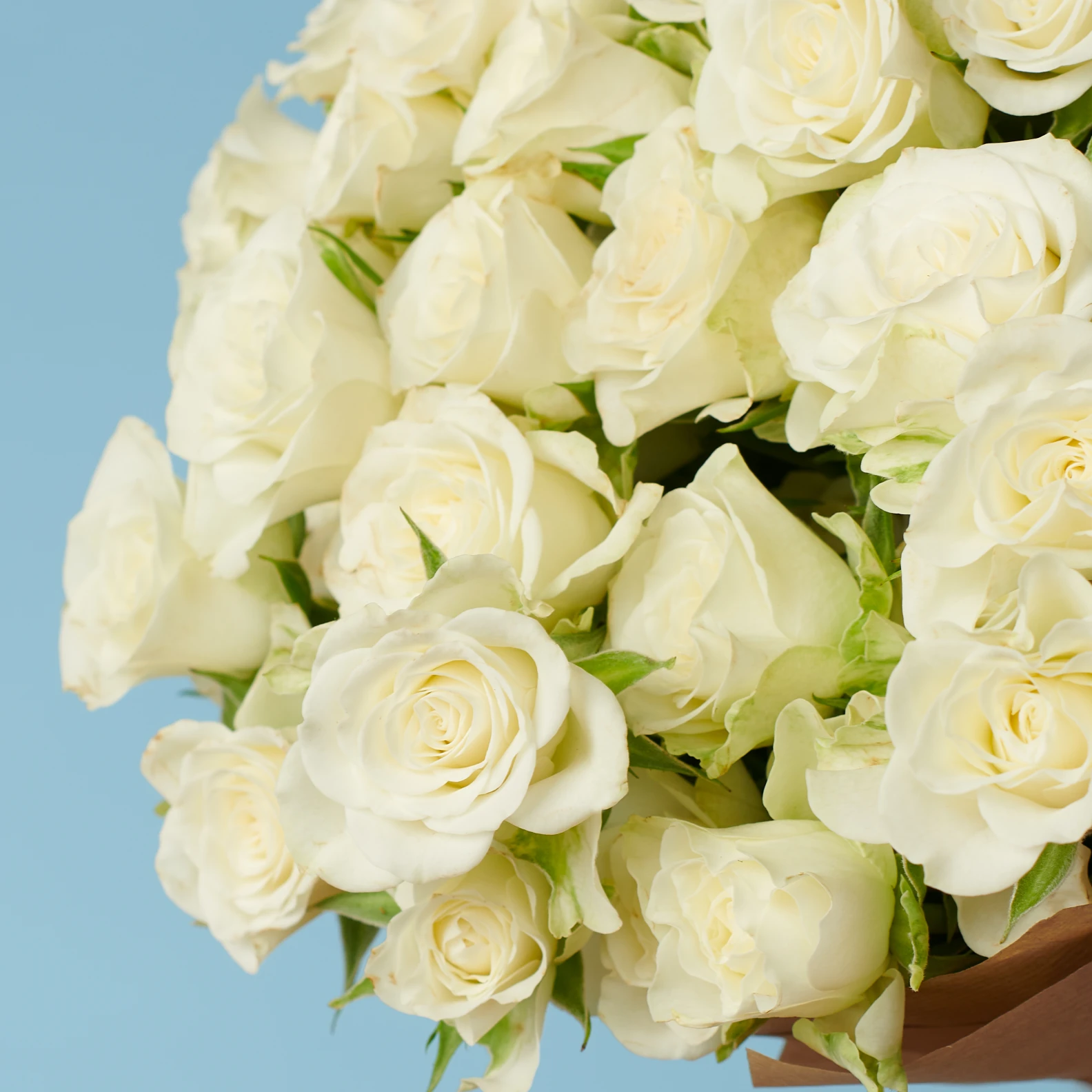 10 Spray White Roses - image №2