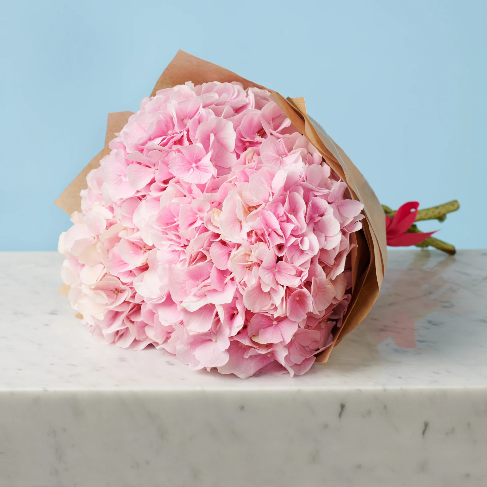 5 Pink Hydrangeas - image №4