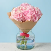 5 Pink Hydrangeas - image №2