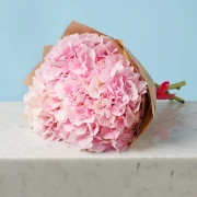 5 Pink Hydrangeas - image №4