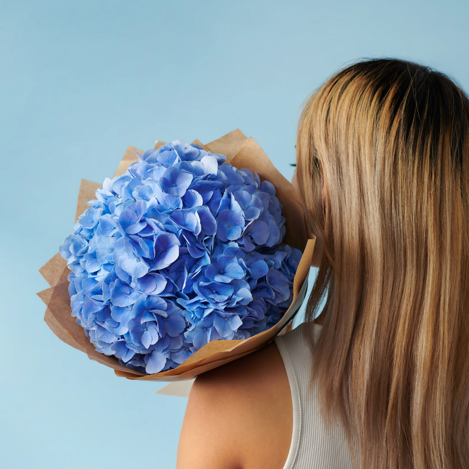 5 Blue Hydrangeas - image №4