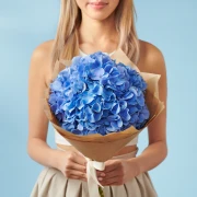 5 Blue Hydrangeas - image №1