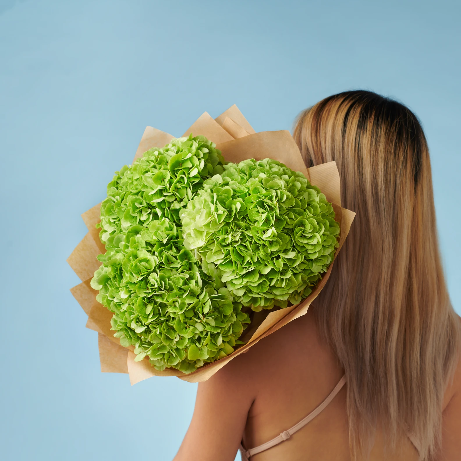 3 Green Hydrangeas - image №4